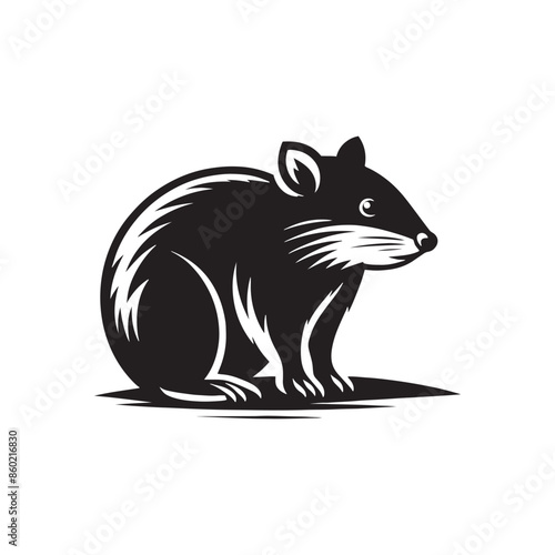 Elegant bandicoot silhouette for educational posters - bandicoot black vector
