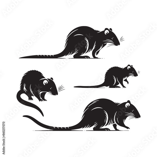 Elegant bandicoot silhouette for branding projects - bandicoot black vector
