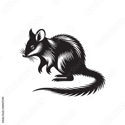 Stylish bandicoot silhouette for creative applications - bandicoot illustration - minimalistic bandicoot vector
