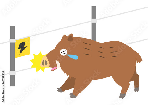 イノシシ対策で設置した電気柵に触れて猪がびっくりするイラスト（獣害対策）
