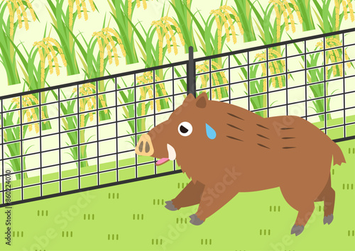 イノシシ対策の金網フェンスで猪を防ぐイラスト