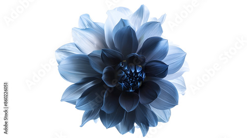 Surreal dark chrome blue flower dahlia macro isolated on white : Generative AI photo