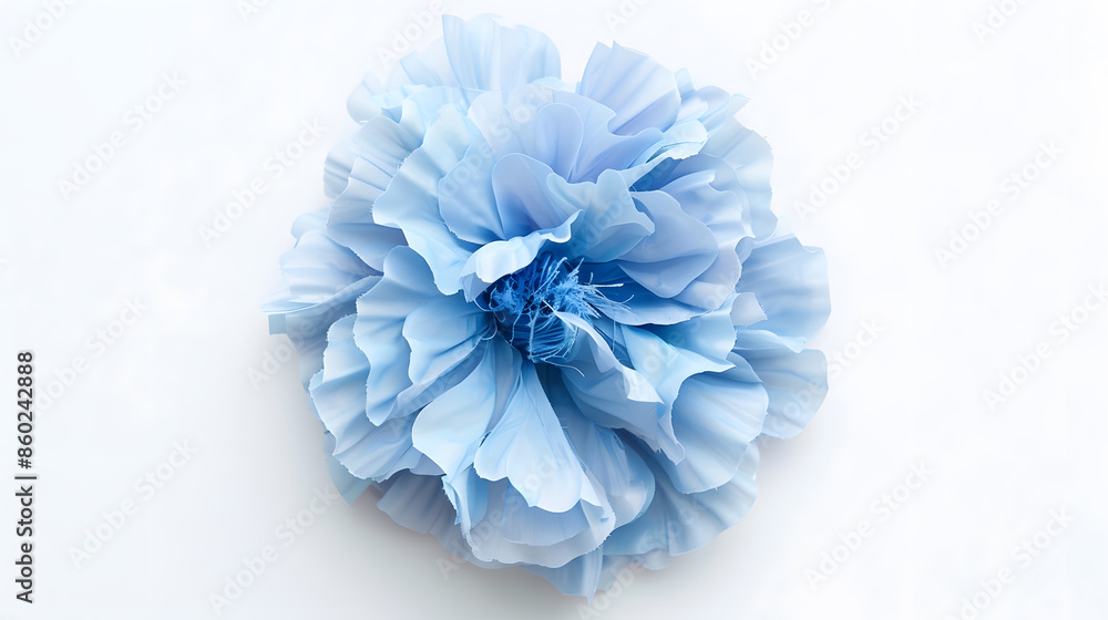 Obraz premium light blue flower on a white background isolated with clipping path Large Delicate shaggy color for design Violet : Generative AI