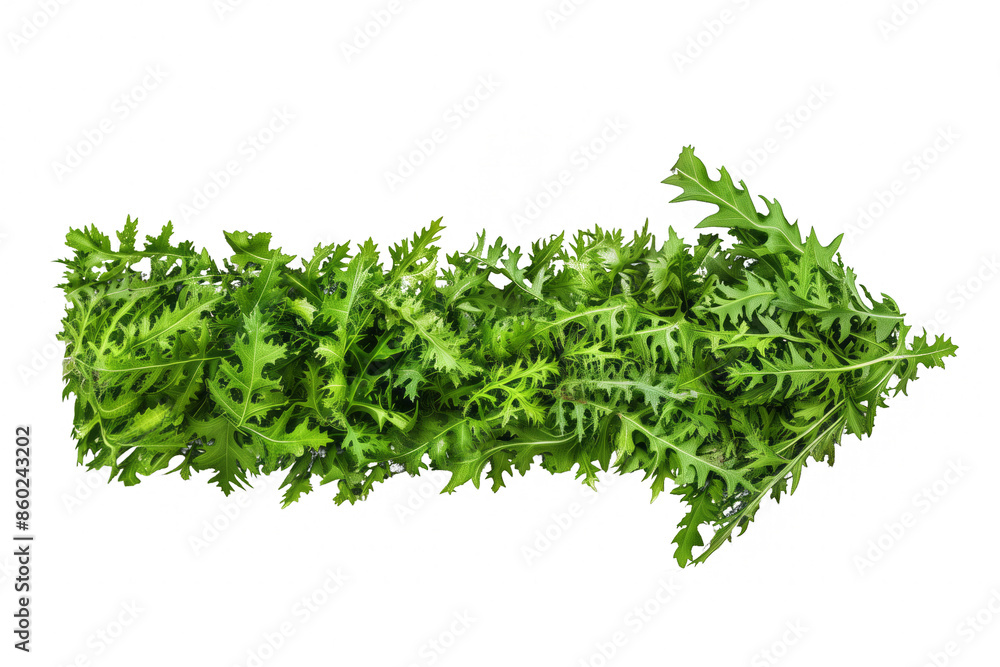 Green leaves arranged in an arrow shape, isolated on a transparent background Green leaves arranged in an arrow shape, isolated on a transparent background