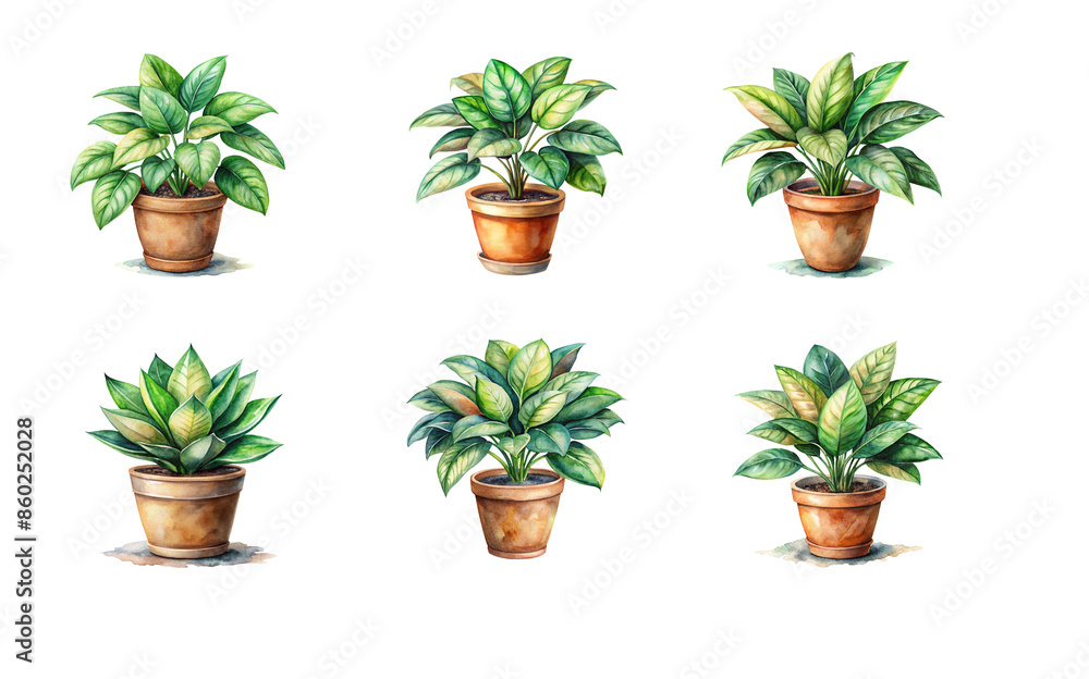 Fototapeta premium Watercolor illustration of various house plants in vibrant colors, adding a touch of nature to any space.