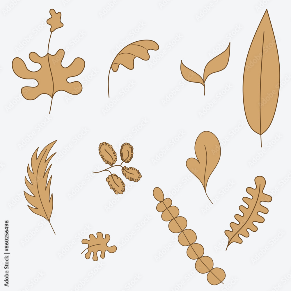 Cartoon set of brown tropical leaves. Vector design elements on white background for print and template. Cartoon set of brown tropical leaves. Vector design elements on white background for print and template.