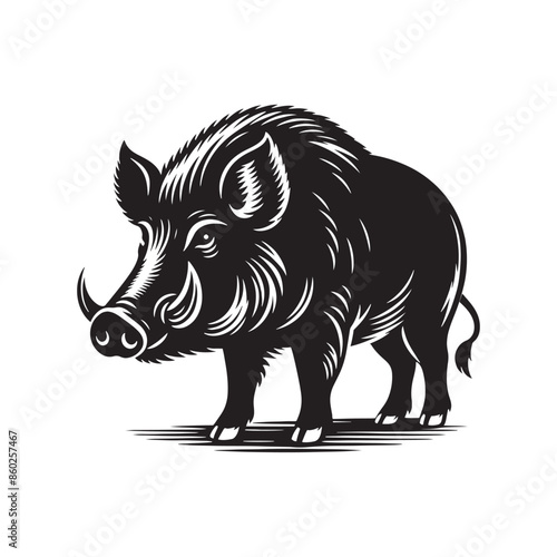 Elegant boar silhouette for various creative endeavors - boar illustration - minimallest boar vector
