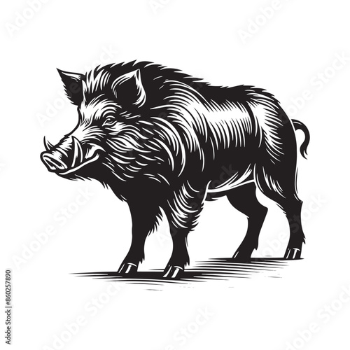 Detailed boar silhouette for artistic and educational use - wildlife vector - boar black vector
