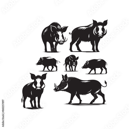 Detailed boar silhouette for educational materials - wildlife vector - boar black vector
