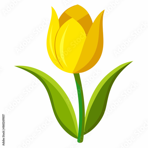 Vector illustration of yellow Tulip 