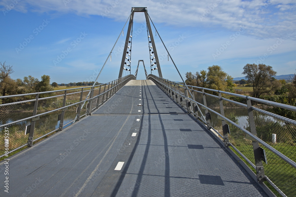 Fototapeta premium Cycle bridge to Slovakia over Morava river at Marchegg in Austria, Europe 