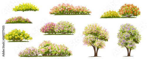 Vector watercolor of blooming tree top view isolated on white background for landscape plan and architecture drawing, elements for environment and garden,botanical elements ,blooming flower in spring