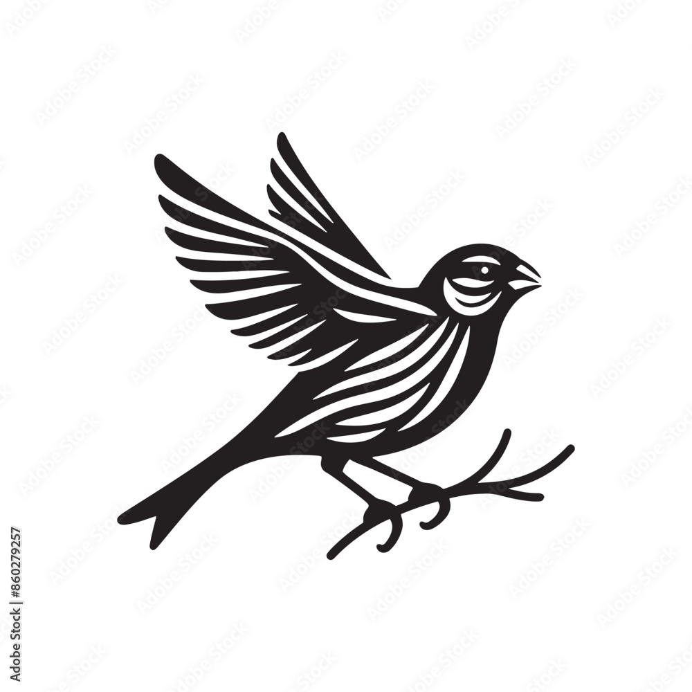Fototapeta premium Artistic Canary silhouette for creative expression - Canary black vector