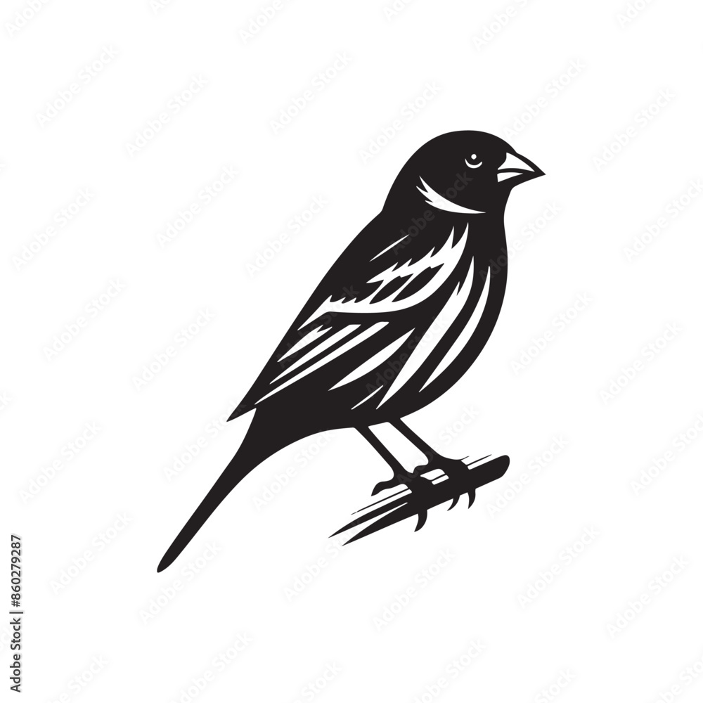 Fototapeta premium Simplified Canary silhouette for digital and print - Canary black vector 