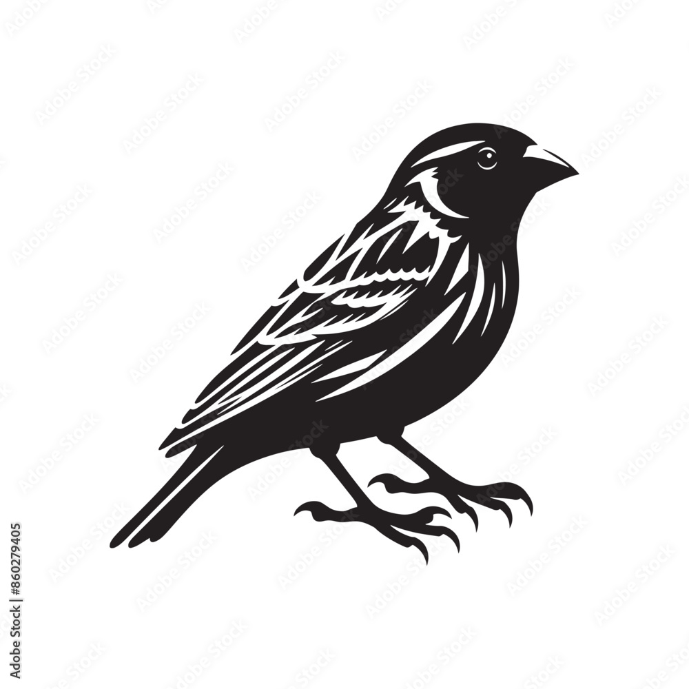 Fototapeta premium Unique portrayal of Canary silhouette - Canary black vector 