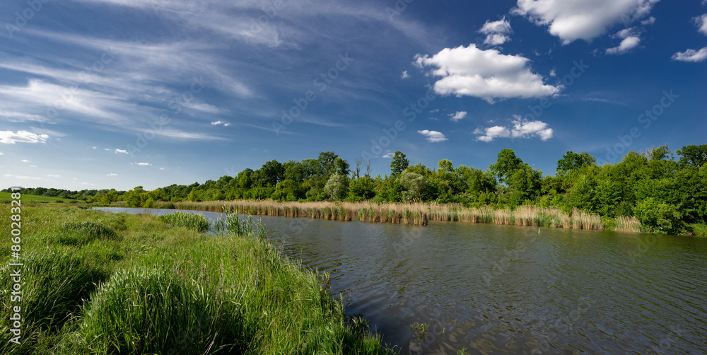 Fototapeta premium Hunting and fishing grounds in the central zone of Ukraine.Spring day in the recreational area.A pond, a meadow, flowers, clouds - paradise all around.