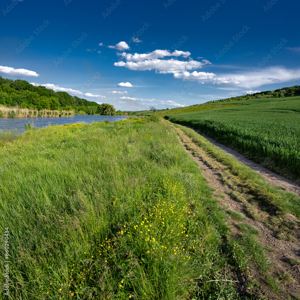 Obraz premium Clouds over a calm river and green meadows.A pond, a meadow, flowers, clouds - paradise all around.