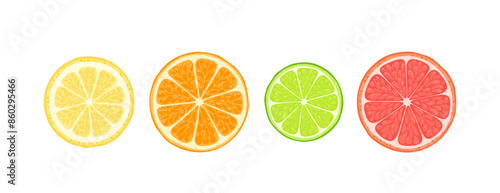 Lemon, lime, orange and grapefruit slice. Citrus fruits set. Vector cartoon illustration.