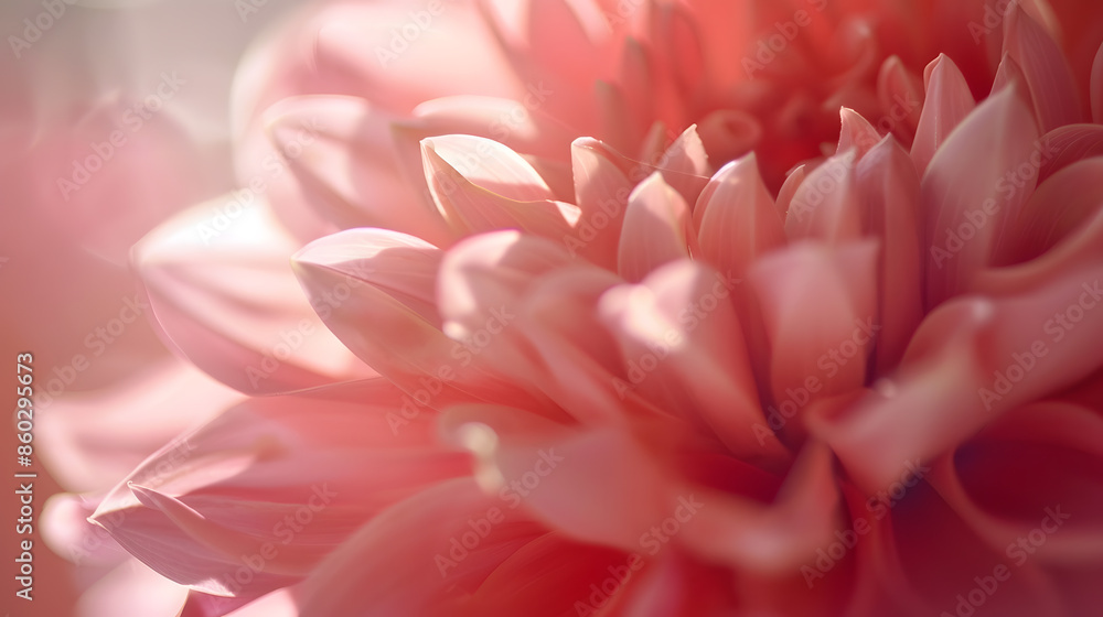 flower and beautiful petals : Generative AI flower and beautiful petals : Generative AI