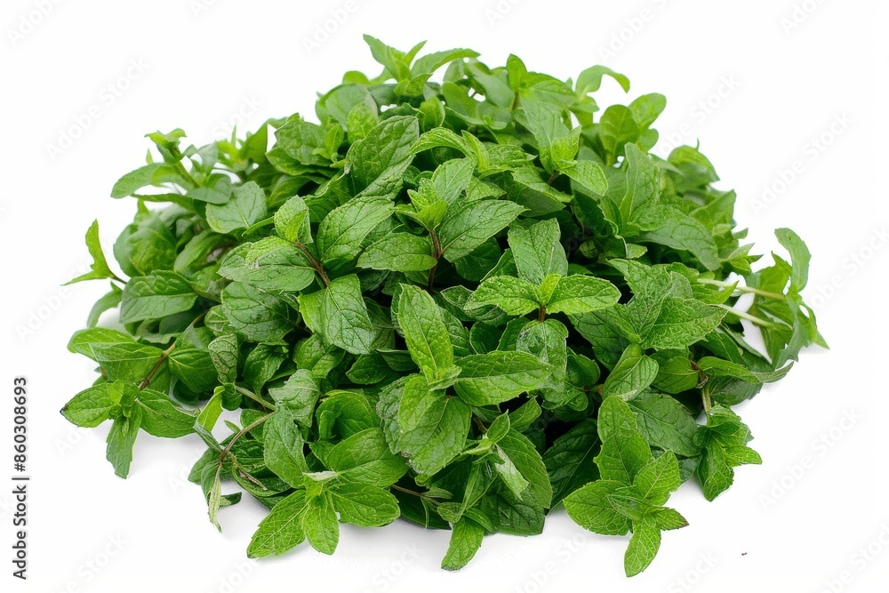 Fresh Mint Leaves on White Background for Healthy Living Generative AI Fresh Mint Leaves on White Background for Healthy Living Generative AI
