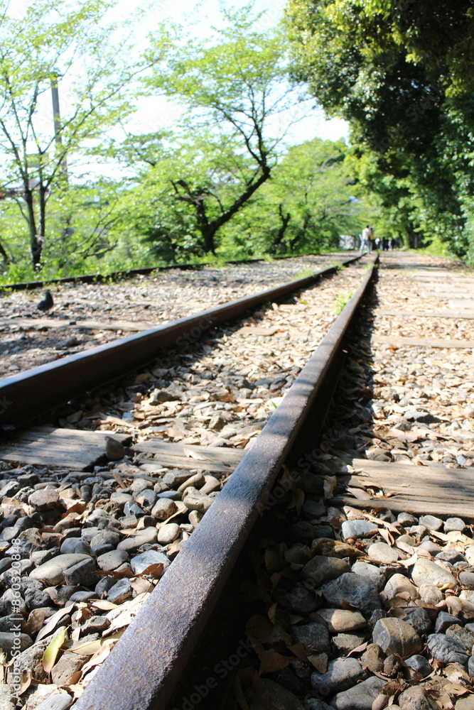 Obraz premium Keage Incline (old train tracks) in Kyoto, Japan