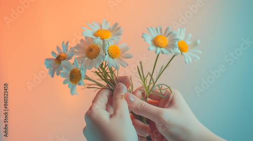 hand holding bouquet of chamomile flowers : Generative AI