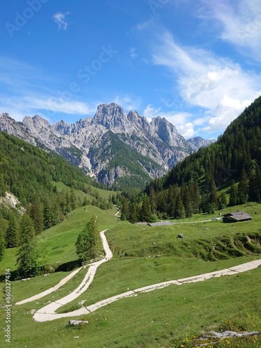 Auf der Alm photo