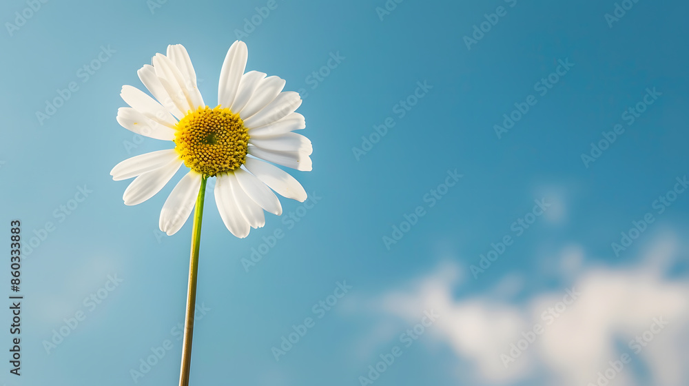 Daisy flower against blue sky : Generative AI Daisy flower against blue sky : Generative AI