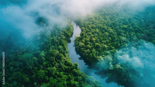 Lush tropical rainforest with winding river under misty sky © Татьяна Макарова