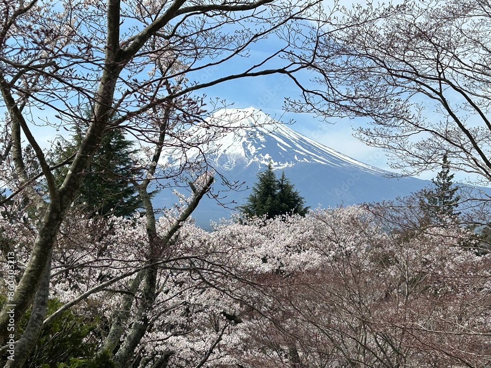 fuji mountain fuji mountain
