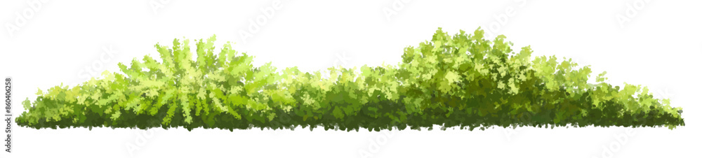 Vertor set of green tree,plants side view for landscape elevations,element for backdrop,eco environment concept design,watercolor greenery scene Vertor set of green tree,plants side view for landscape elevations,element for backdrop,eco environment concept design,watercolor greenery scene