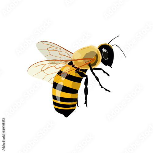 Honey Bee Icon Close Up Isolated on White Background. Vector Illustration