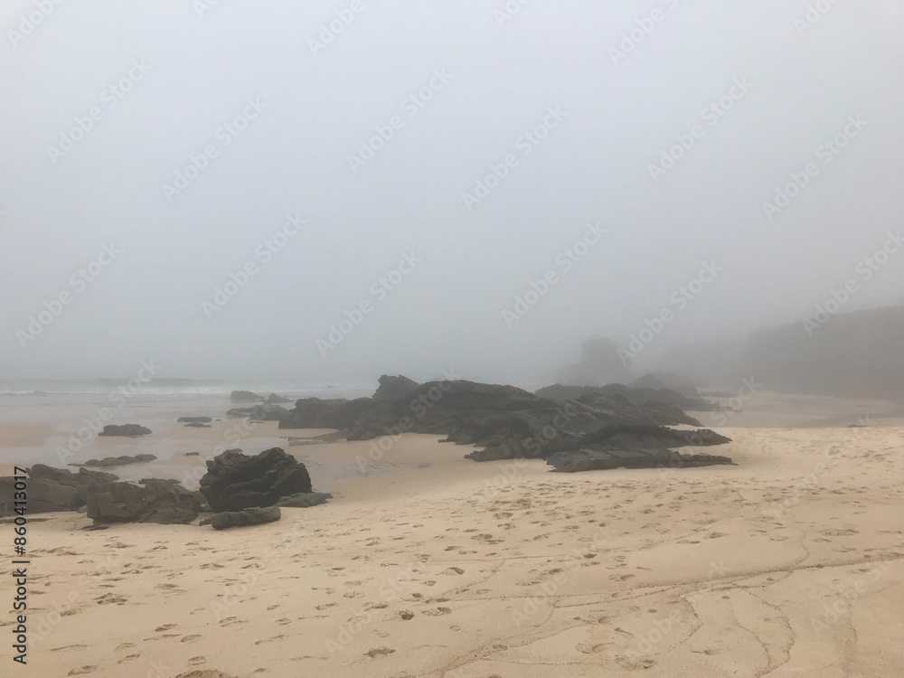 Rocky beach in fog, ocean coast Rocky beach in fog, ocean coast
