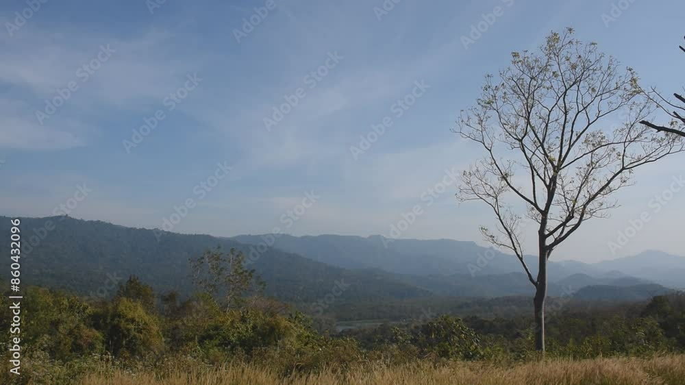 landscape of tree in sunset on mountain at Thailand landscape of tree in sunset on mountain at Thailand