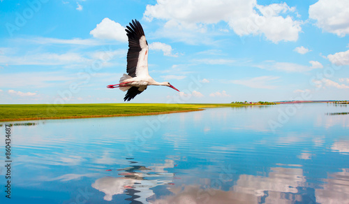 A white stork is flying over a tranquil autumn lake