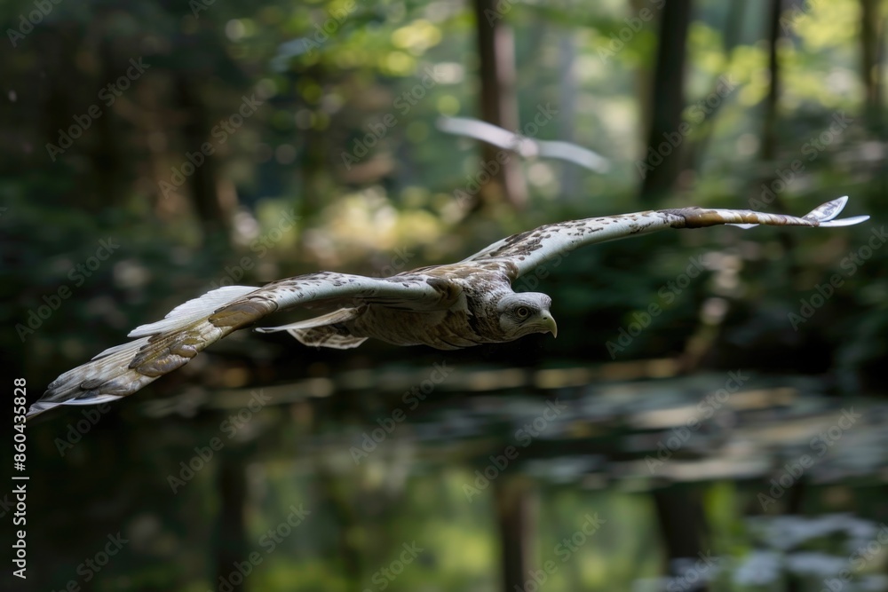 Fototapeta premium A bird is flying over a body of water