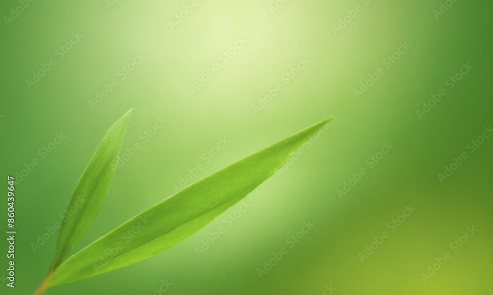 A solid green background with gradient shading A solid green background with gradient shading