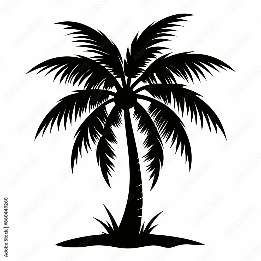 palm tree silhouette palm tree silhouette