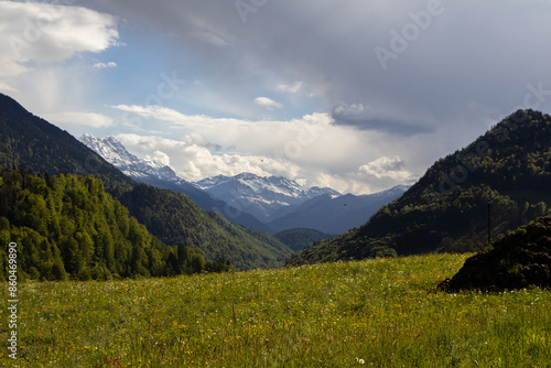 Berge und Wiesen