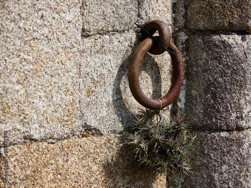 Ring. Metal piece in the shape of a ring formerly used to tie horses