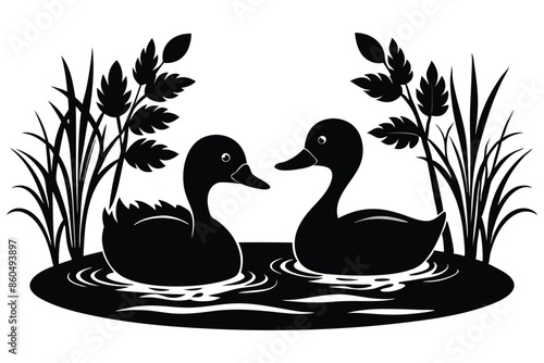 A pair of ducks swimming in a pond C.eps