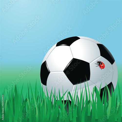 Soccer hall with ladybug
