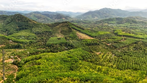 Wallpaper Mural Aerial view forest in countryside and beautiful sky.The big green forest looks fresh Gives a cool feeling. Top view, farmer industry and agricultural crop, harvest season. Nature feeling relax holiday Torontodigital.ca