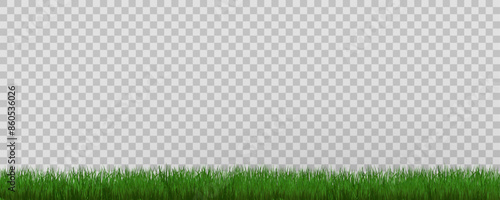 Grass border, vector illustration. Vector grass, lawn. Grass png, lawn png. Green grass with sun glare.