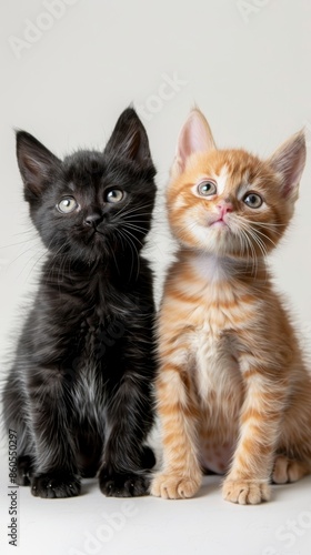 Adorable Kittens on White Background, Perfect for Pet Lovers Generative AI