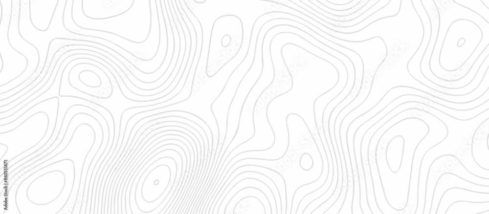 Abstract wave paper curved reliefs background .gradient multicolor wave curve lines banner background design .topographic contours map background .Vector geographic contour map.