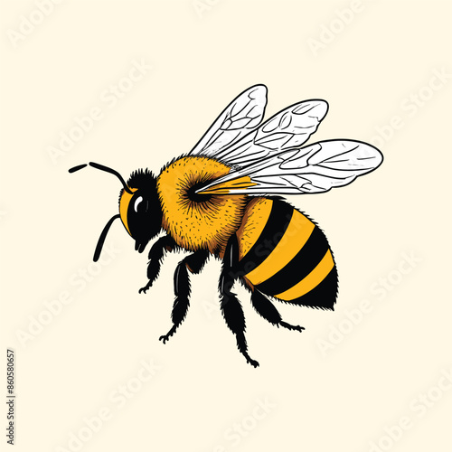 Flying Bee Vintage Illustration