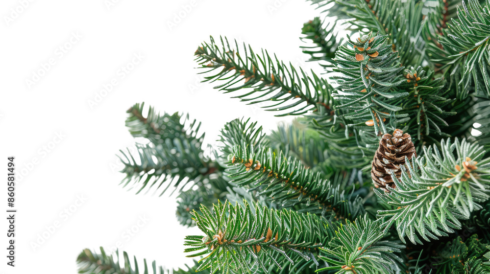 Christmas tree, close up on a transparent background Christmas tree, close up on a transparent background