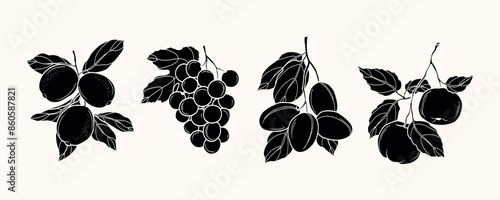 Flat vector lemon, grapes, plum, apple fruits illustration