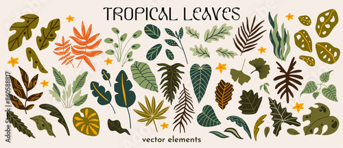 Cartoon tropical plants vector illustration set for design. Different types of exotic leaves funky groovy decorative elements kit. Collection of botanical shapes forms sticker bundle © WeirdyTales